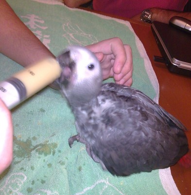 חודשיים (5).jpg