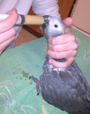 חודשיים (6).jpg