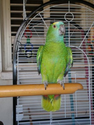 לא נורא לומדים מטעויות