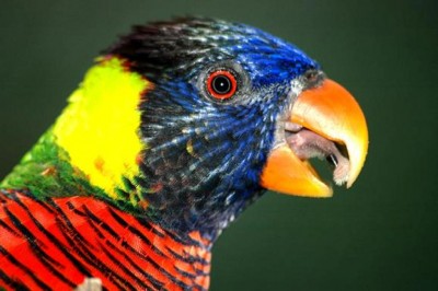 ,תמונה לשבת 2.jpg