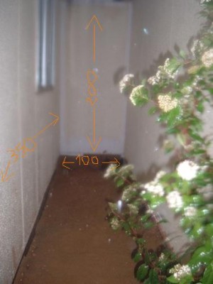 השטח עם המידות