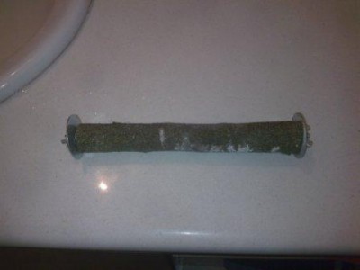 מזל שיוף של פטל