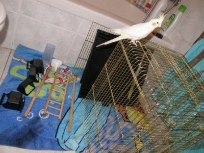 בודקת שהכל נקי