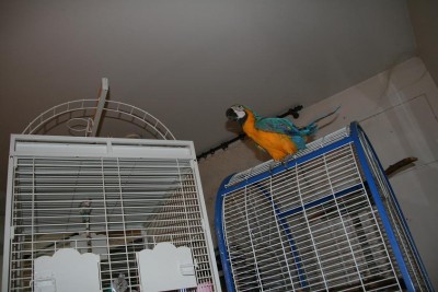 זאזו בודקת מה המבנה החדש