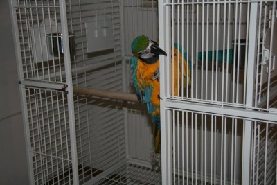 בימינו אין לסמוך על קבלנים, צריך לבדוק הכל ביסודיות