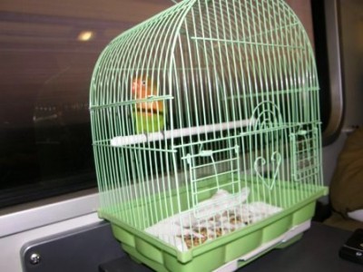 ברכבת, התנהג כל-כך יפה