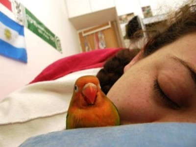 לילה/בוקר טוב..