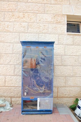 גודל הכלוב-אשמח להערות