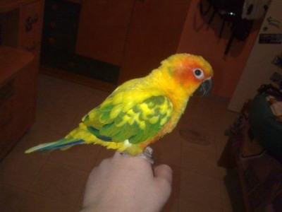 תמונה מלפני 4 חודשים