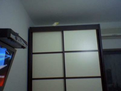 מיקי על הארון