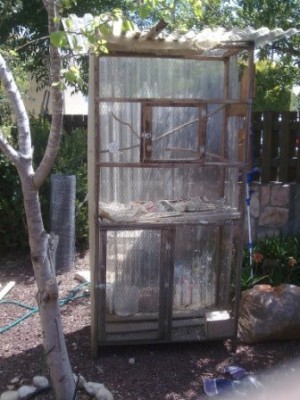 הכלוב, הכל יהיה שונה חח