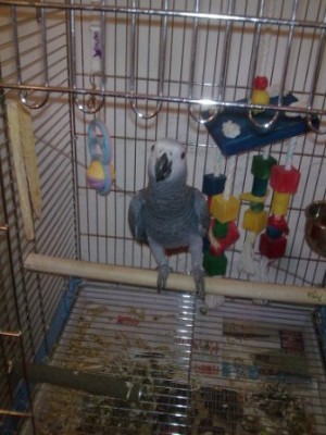 איזה חמודה היא הייתה. אני עדיין אוהב אותה ומקווה שטוב לה למעלה