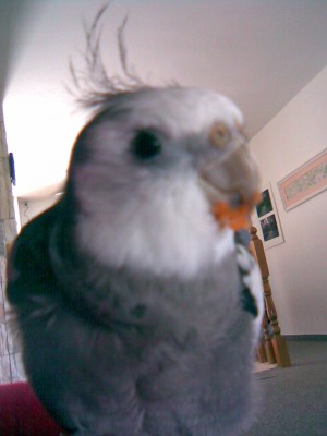 אחרי ארוחה טובה קצת התלכלכנו :)