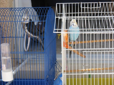 באזי וטויי נהנים מהשמש :)