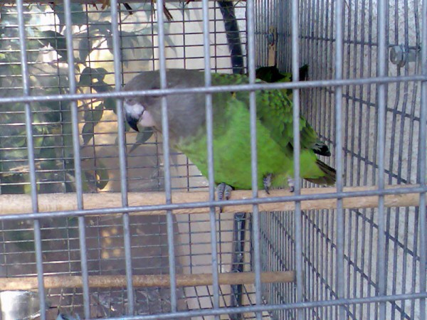 זוג שהיה לו בגינה לא זוכר איזה לא סנגל