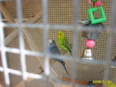 עוד כמה (סה"כ 7)