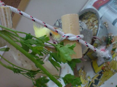 שימי, בקרוב אצלכם :)