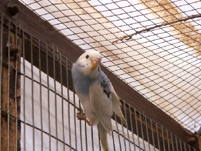 ובשביל להשלים את היופי גם תוכון פייד יפיפה שיצא לנו אתמול