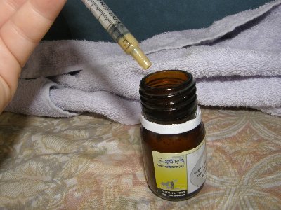 התרופה לכלמידיה