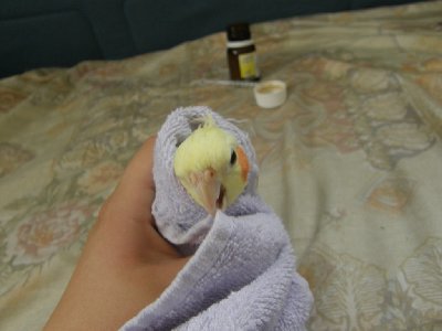 בר לפני קבלת התרופה