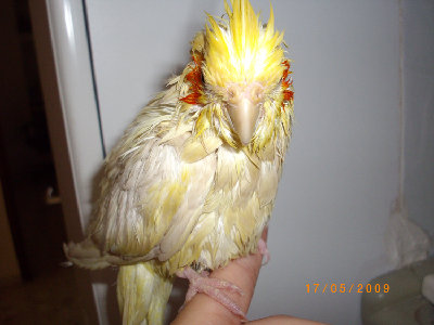 החליטה שהיא לא רוצה יותר