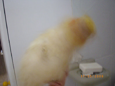 מתנערת חחחח