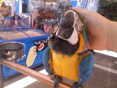 איזה חמודהה!!