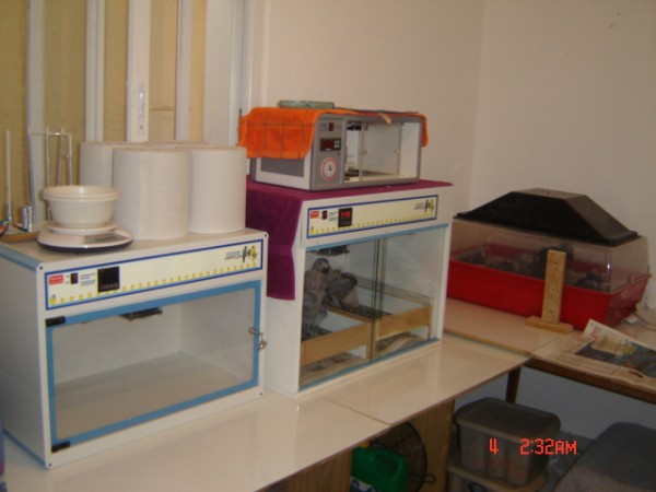 Picture 749.jpg