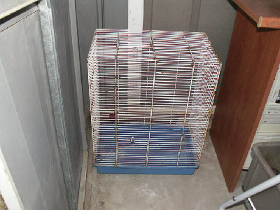 הכלוב הראשון. אפשר להבין למה התוכונית לא אהבה אותו