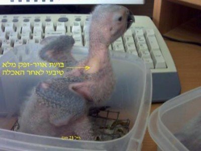 file.jpg
