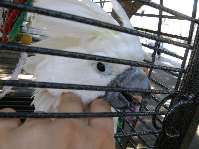 מפנקת את המתוקי שלי!!