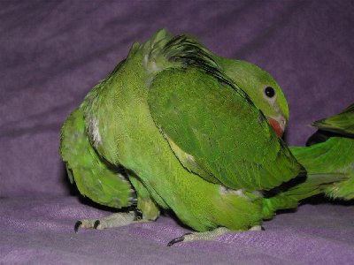 pic 5443 (Large).jpg