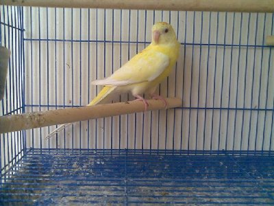 19062009(006) (Small).jpg