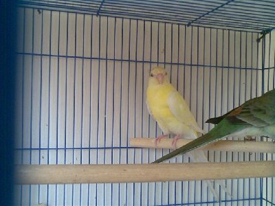 19062009(008) (Small).jpg