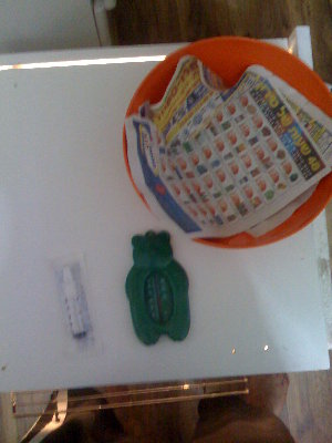 זה הקערה שאני רוצה להאכיל איתה את הגוזלים והמזרק שהוא 10 CC והדובי זה מד חום בשביל הדייסה <br /><br />השאלה זה טוב.!?...