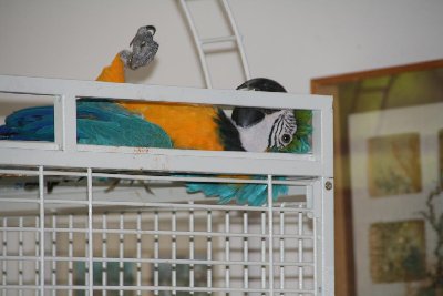 'יקה וזאזן 10.06.09 005.jpg