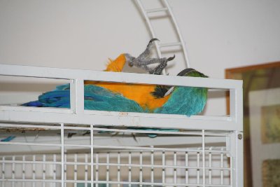 'יקה וזאזן 10.06.09 008.jpg