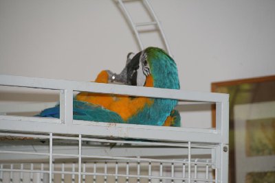 'יקה וזאזן 10.06.09 010.jpg