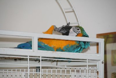 'יקה וזאזן 10.06.09 012.jpg