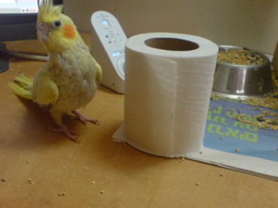 כמובן שהייתי צריך להפריע לה באמצע ארוחת בוקר - סלחו לה על הבלאגן :-) חחחח