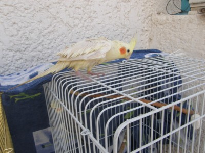 בר, אחרי מקלחת, חוקרת את החבר החדש