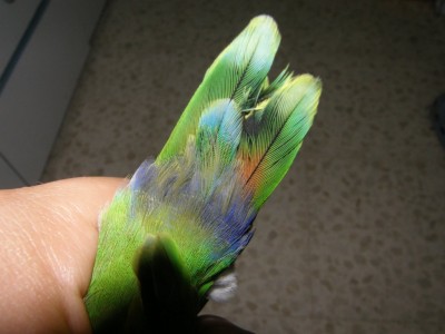 וואוו איזה צבעים!!