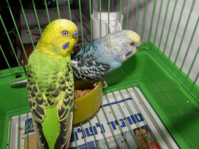 תמונה משותפת :)