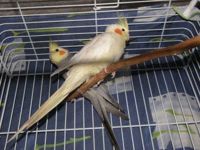 זאת התמונה היחידה... בנתיים.