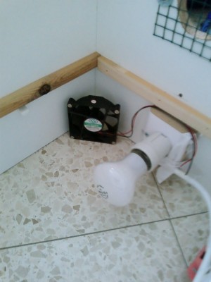 המנורה והמקום שהמאורר יהיה בו