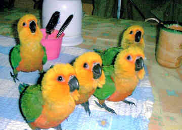 חמודיים כאלהה!!